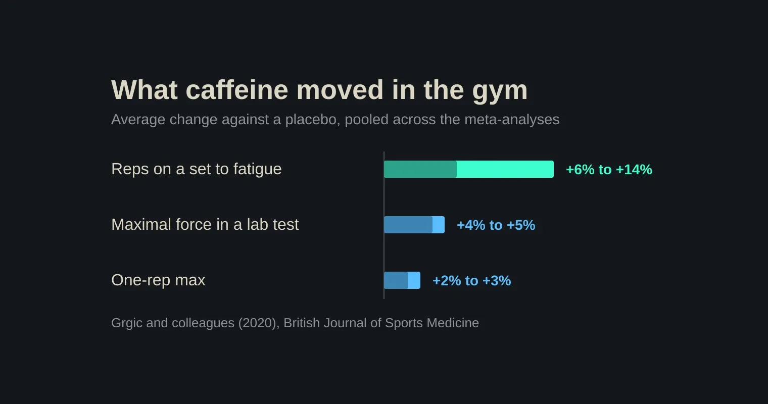 A dark chart headed What caffeine moved in the gym, showing reps on a set to fatigue up 6 to 14 percent, maximal force in a lab test up 4 to 5 percent, and a one-rep max up 2 to 3 percent