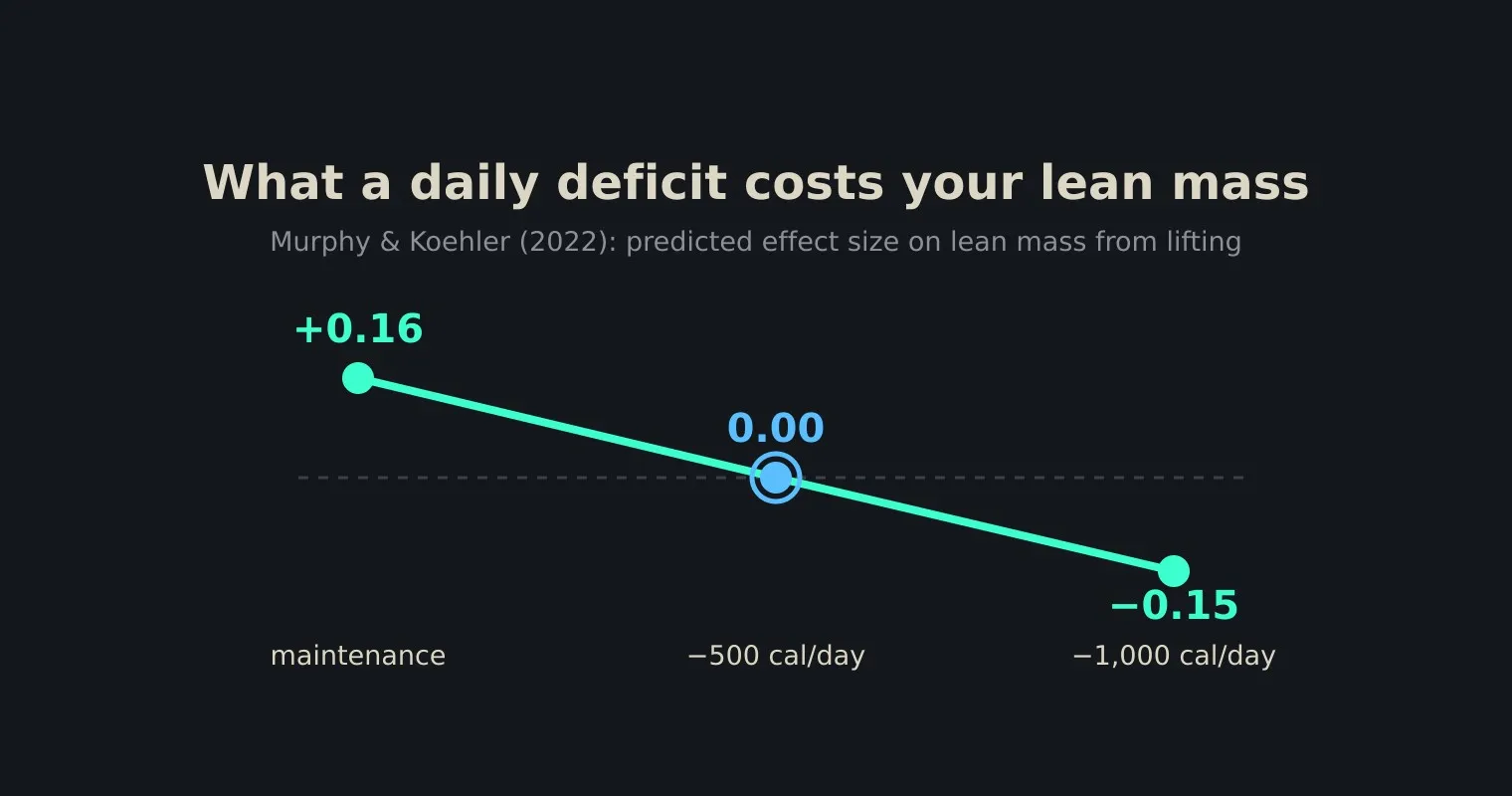 A dark chart plotting predicted lean-mass effect size against daily calorie deficit, falling from plus 0.16 at energy balance through zero at 500 calories a day to minus 0.15 at 1,000