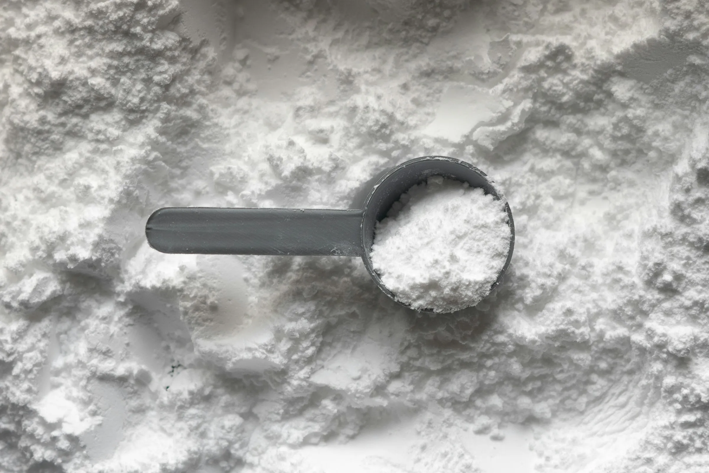 A grey plastic scoop heaped with white creatine monohydrate powder, resting on a loose pile of the same powder