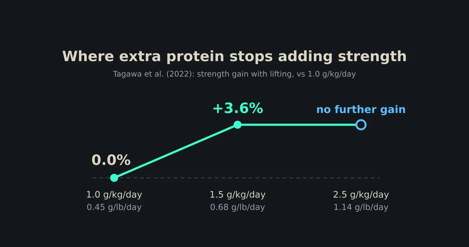 A dark line chart rising from 0.0% at 1.0 g/kg of protein per day to plus 3.6% at 1.5 g/kg, then running flat to 2.5 g/kg with the label no further gain; each tick is also labelled in grams per pound