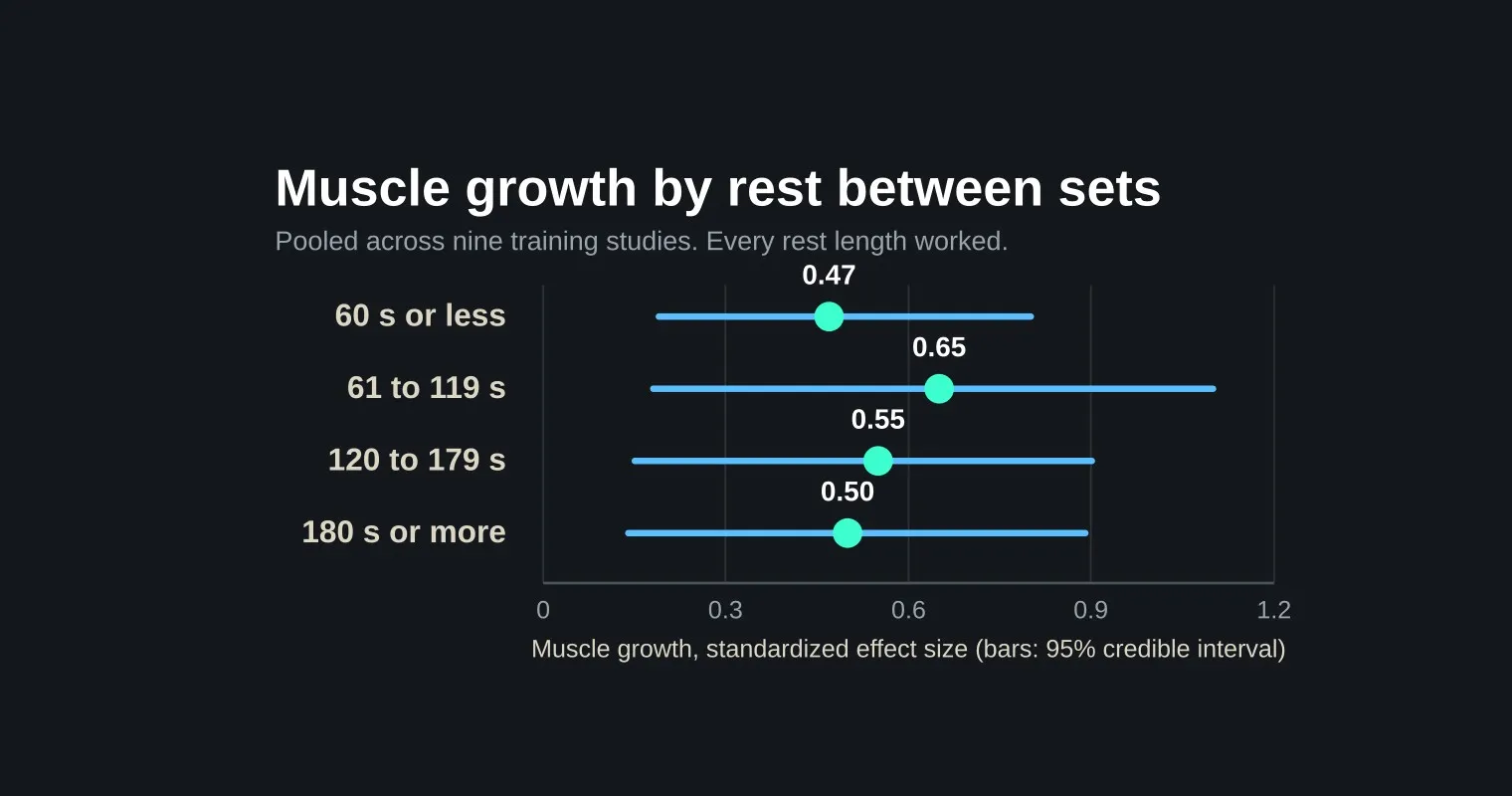 A dark chart headed Muscle growth by rest between sets, showing pooled effect sizes of 0.47 for rest of 60 seconds or less, 0.65 for 61 to 119 seconds, 0.55 for 120 to 179 seconds and 0.50 for 180 seconds or more, with overlapping credible intervals