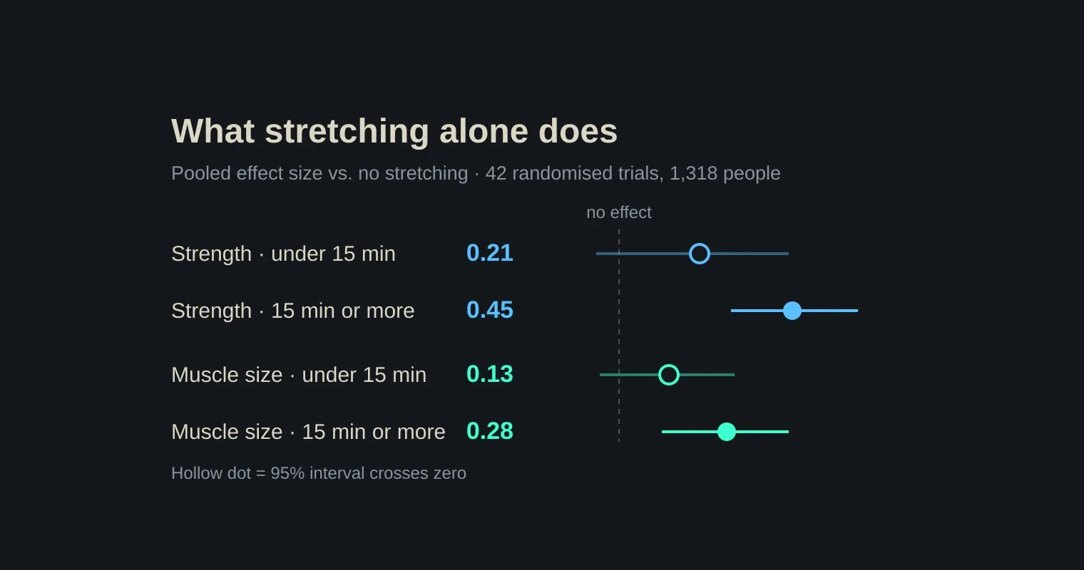 A dark chart headed What stretching alone does, plotting pooled effect sizes of 0.21 and 0.45 for strength and 0.13 and 0.28 for muscle size, split by whether sessions ran under or over 15 minutes