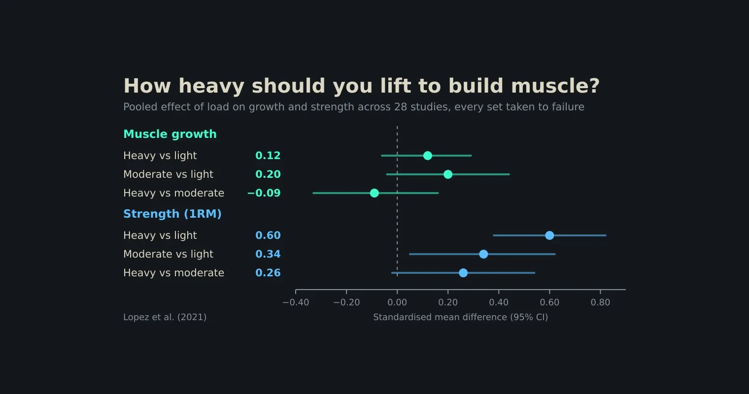 A dark chart headed How heavy should you lift to build muscle, with three muscle-growth rows of 0.12, 0.20 and minus 0.09 all crossing a dashed zero line, and three strength rows of 0.60, 0.34 and 0.26 sitting to the right of it